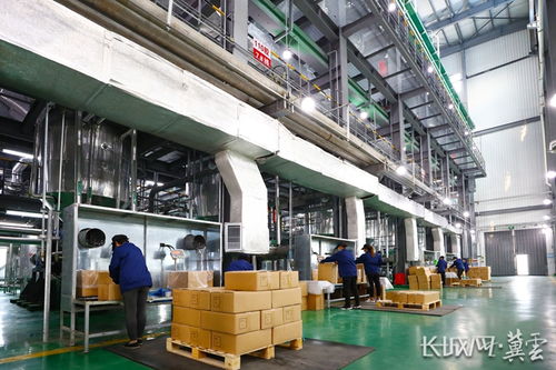 新材料技術研發(fā)助力衡水產業(yè)升級