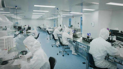 北芯生命遞交招股書 擬募資12.74億元，加速新材料技術研發(fā)與產業(yè)化進程